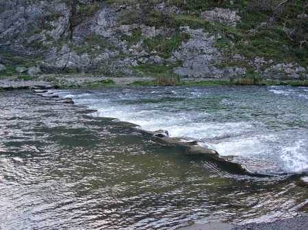 Stepping Stones